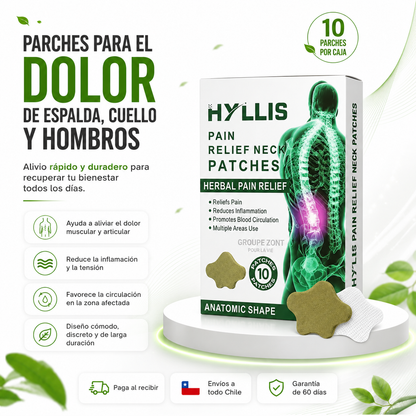 Parches de Alivio para Espalda y Cuello